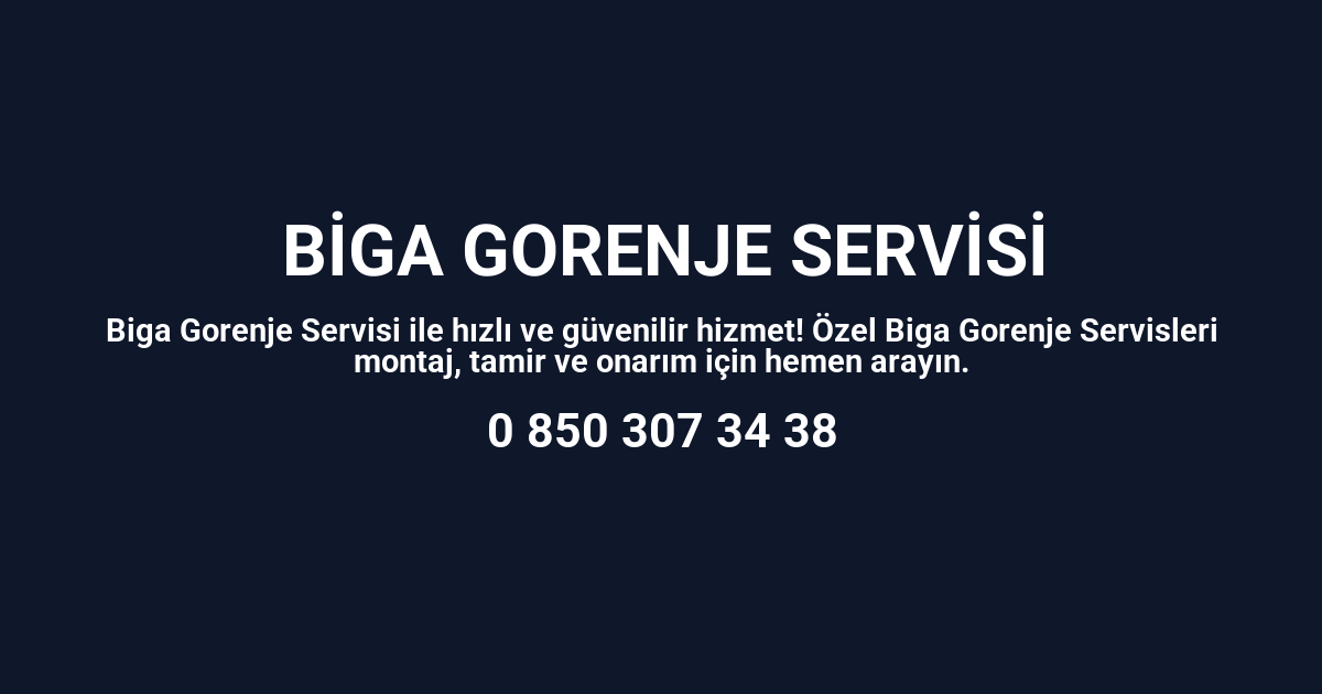 Biga Gorenje Servisi